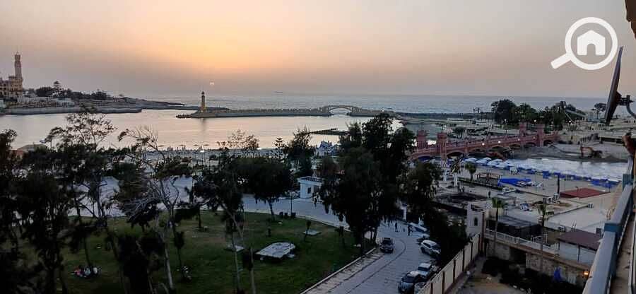 18 WhatsApp Image 2025-04-26 at 16.32. 37 (5). jpeg