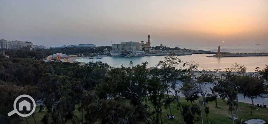 20 WhatsApp Image 2025-04-26 at 16.32. 38. jpeg