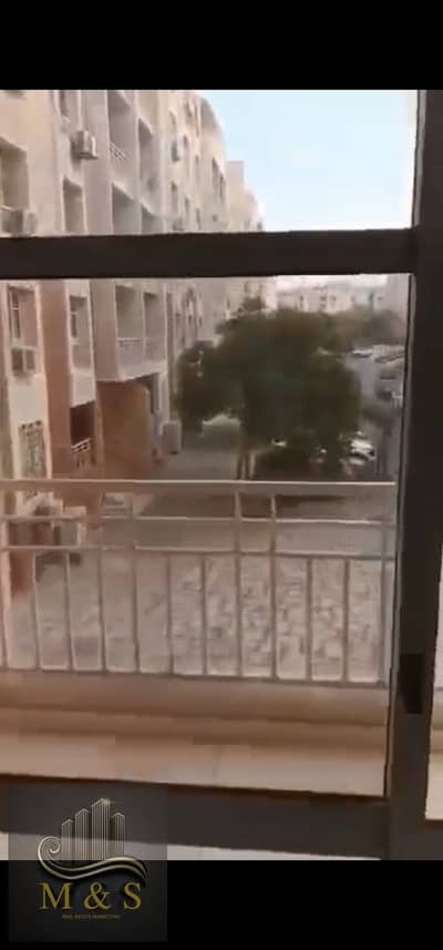 3 Bedroom Apartment for Rent in Madinaty, Cairo - Screenshot_٢٠٢٦٠١٢٣_١٨١٨٢٨_WhatsApp. jpg