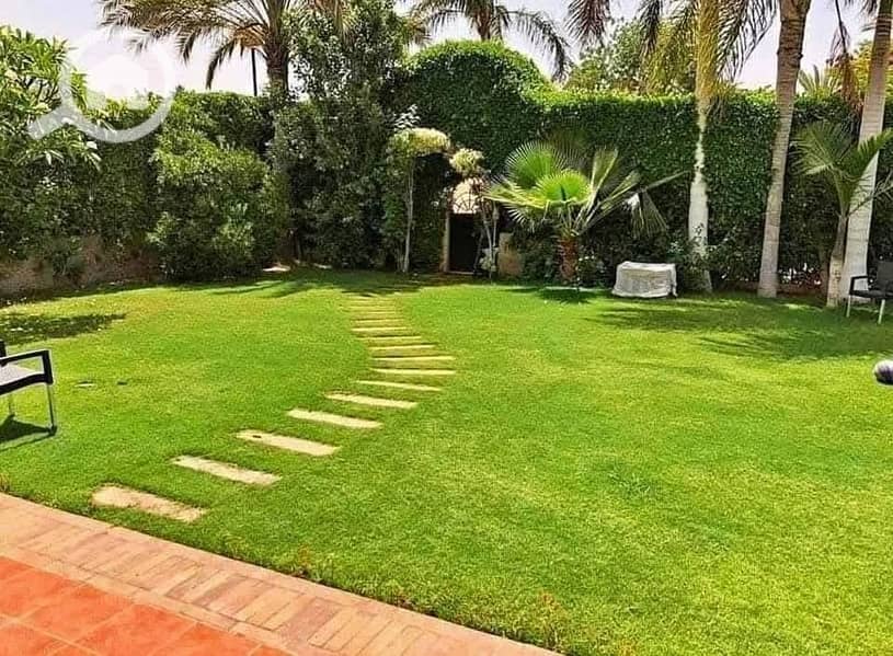 7 5594219b-ecb7-42c5-b7dc-9d0eb0020f60. jpeg