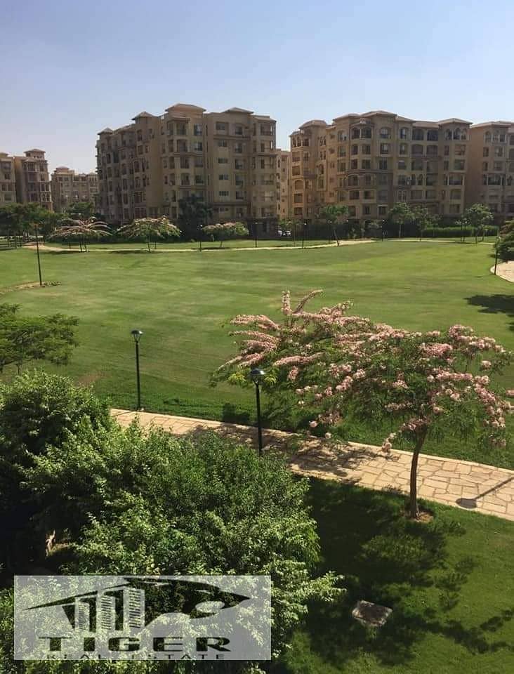 18 WhatsApp Image 2026-01-19 at 11.30. 26 PM. jpeg