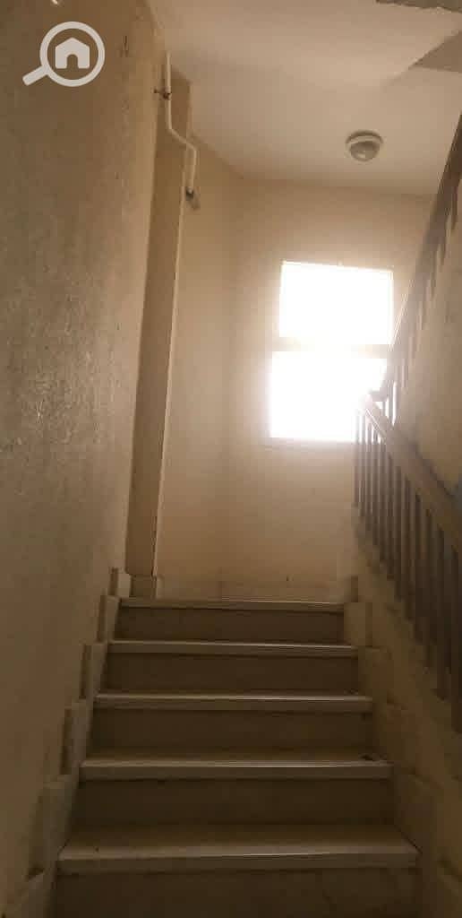 3 62159b1a-04a7-479e-8510-7f940c5d1f61. jpeg