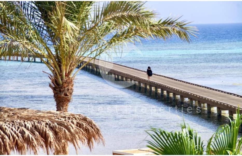 19 WhatsApp Image 2025-09-01 at 11.48. 17 AM (1). jpg