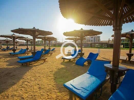 2 8222D3A5-B8CF-45E4-9290-E45096219D55. jpeg