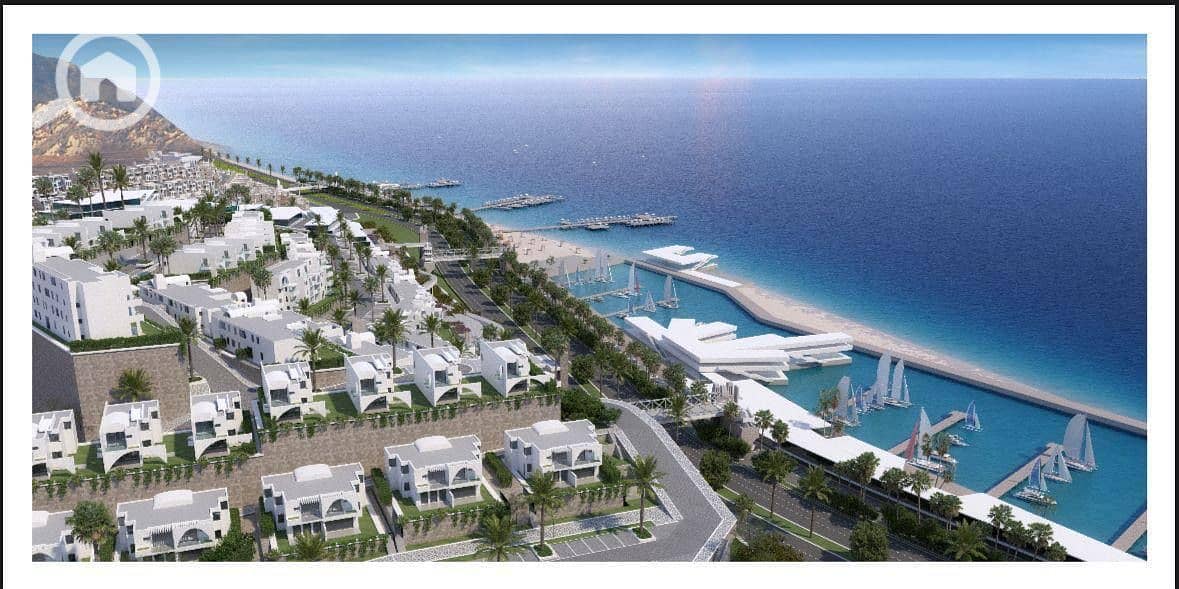 6 13c6e38c-d7fb-4906-8604-1778ff88bbc9. jpeg