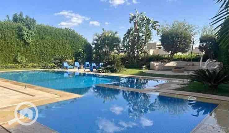 4 b1cc7d29-3520-4200-af6e-d5fdce6337c9. jpg