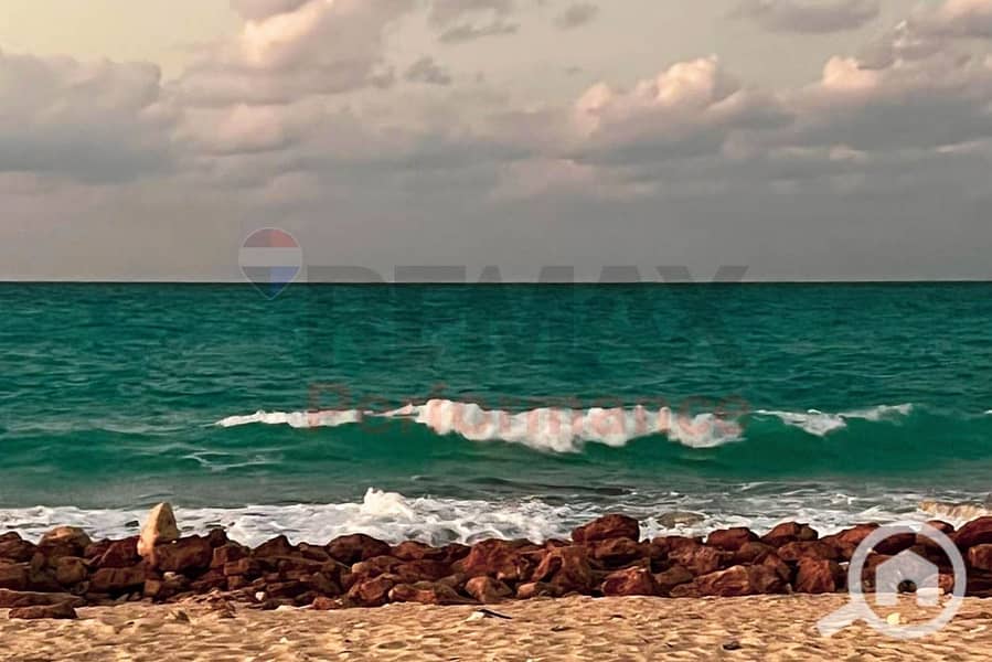 9 IMG-20260123-WA0012. jpg