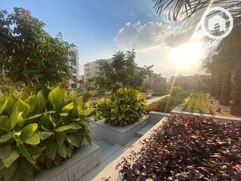 9 91b5834c-da7e-4bea-aa54-0d11db6f75ce. jpeg