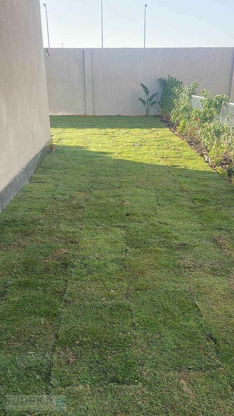 3 2283d792-ea53-4540-9a72-c52ab11fd619. jpeg