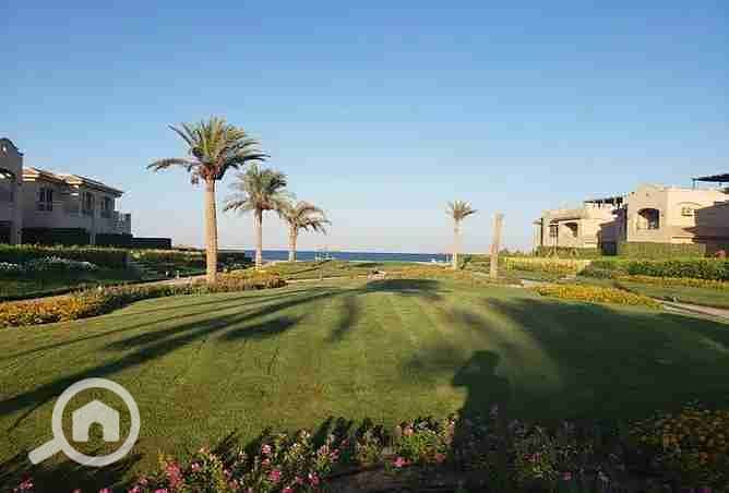 6 2377063-aca9fo. webp