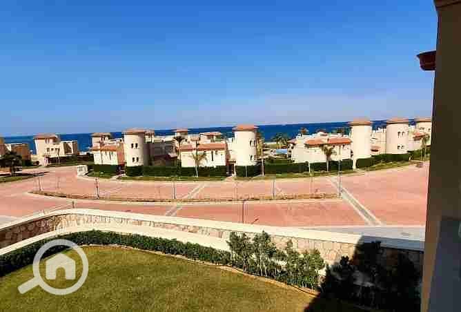 6 2377063-328ddo. webp