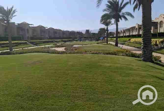 7 2377063-e7e7eo. webp