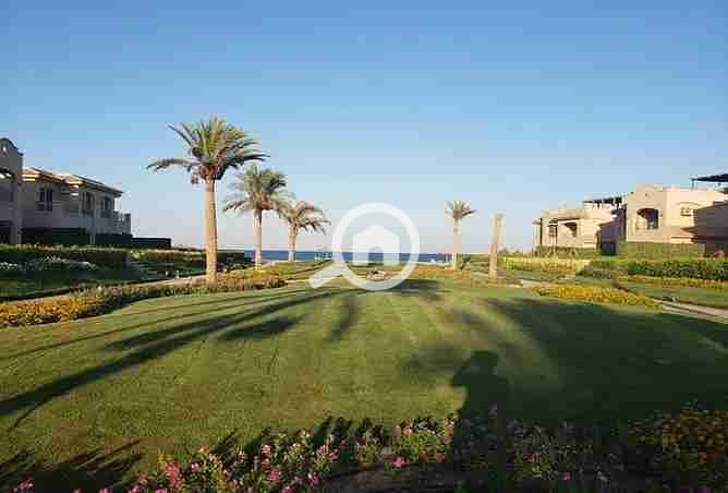 8 2377063-aca9fo. webp