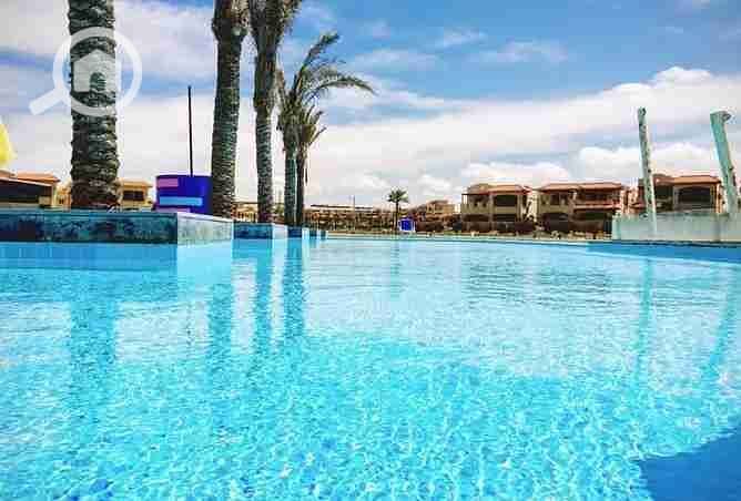 10 2377063-1ed2do. webp