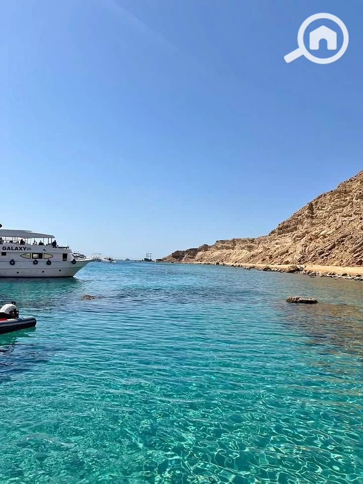 6 574901289_2617765411911684_3501095536844790491_n. jpg