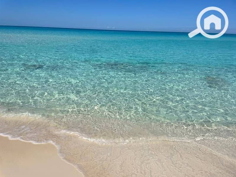 7 532447590_3115236721970084_6889295690483880936_n. jpg