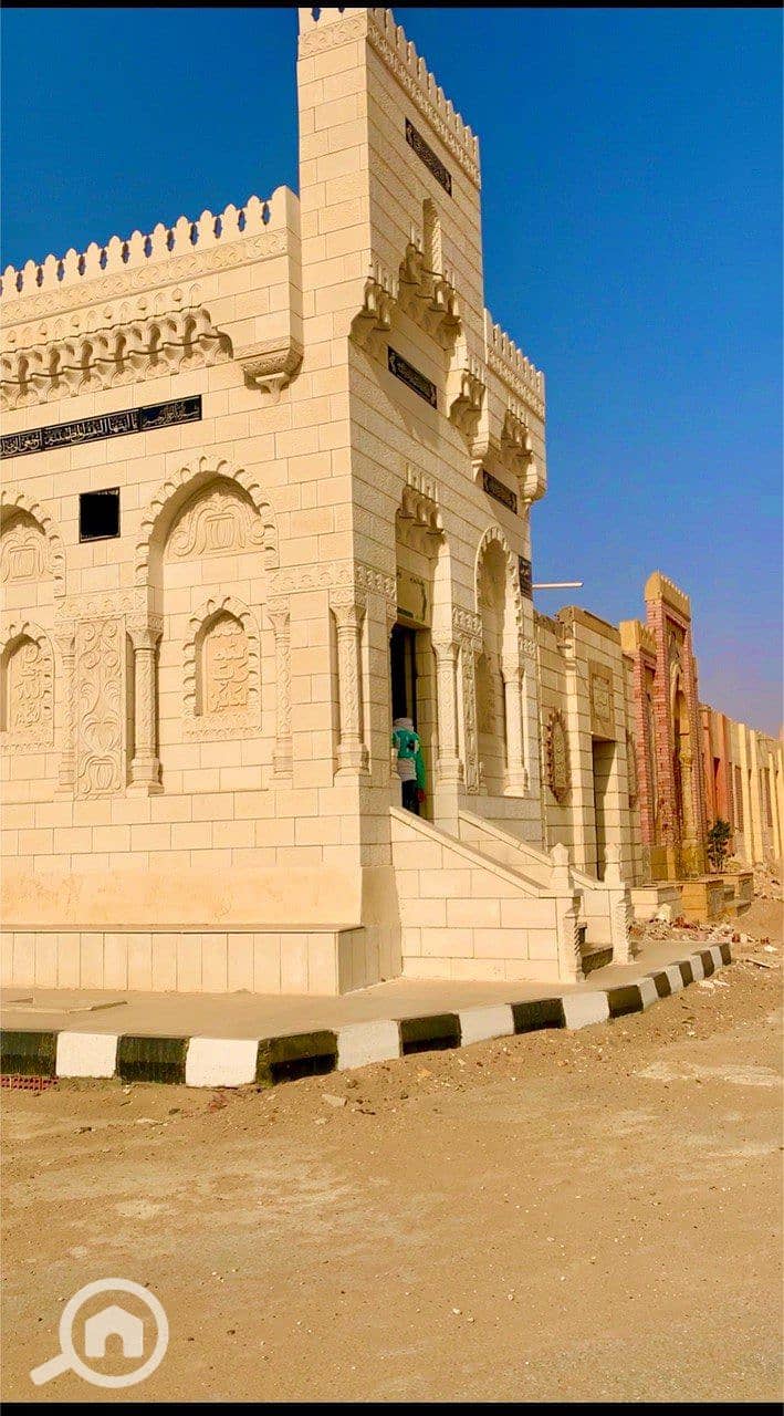 4 photo_2026-01-24_01-14-30. jpg