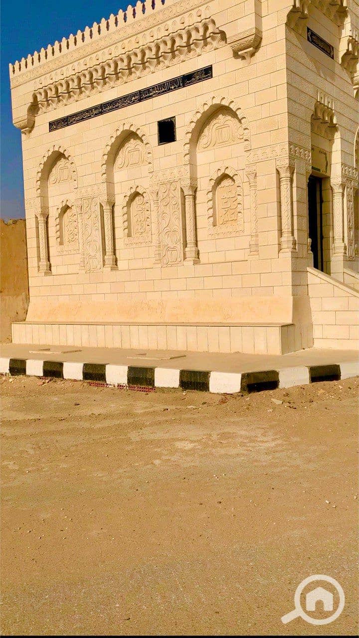 5 photo_2026-01-24_01-14-31. jpg