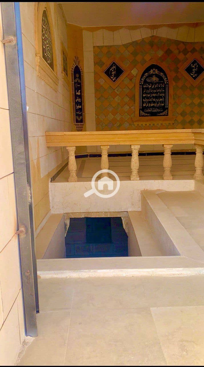 6 photo_2026-01-24_01-14-33. jpg