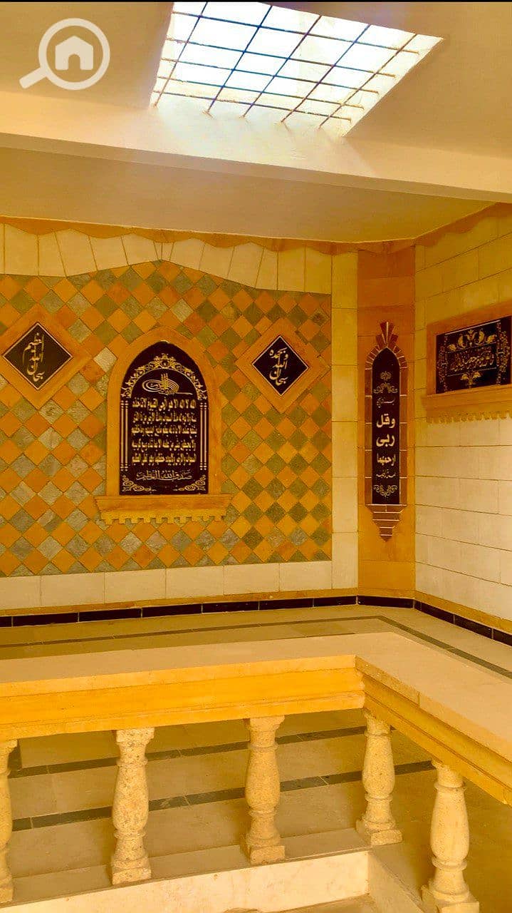 8 photo_2026-01-24_01-14-34. jpg