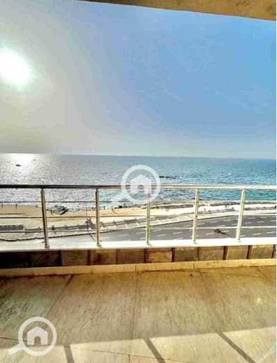 مکتب  للايجار في لوران، الإسكندرية - 1000443425. jpg