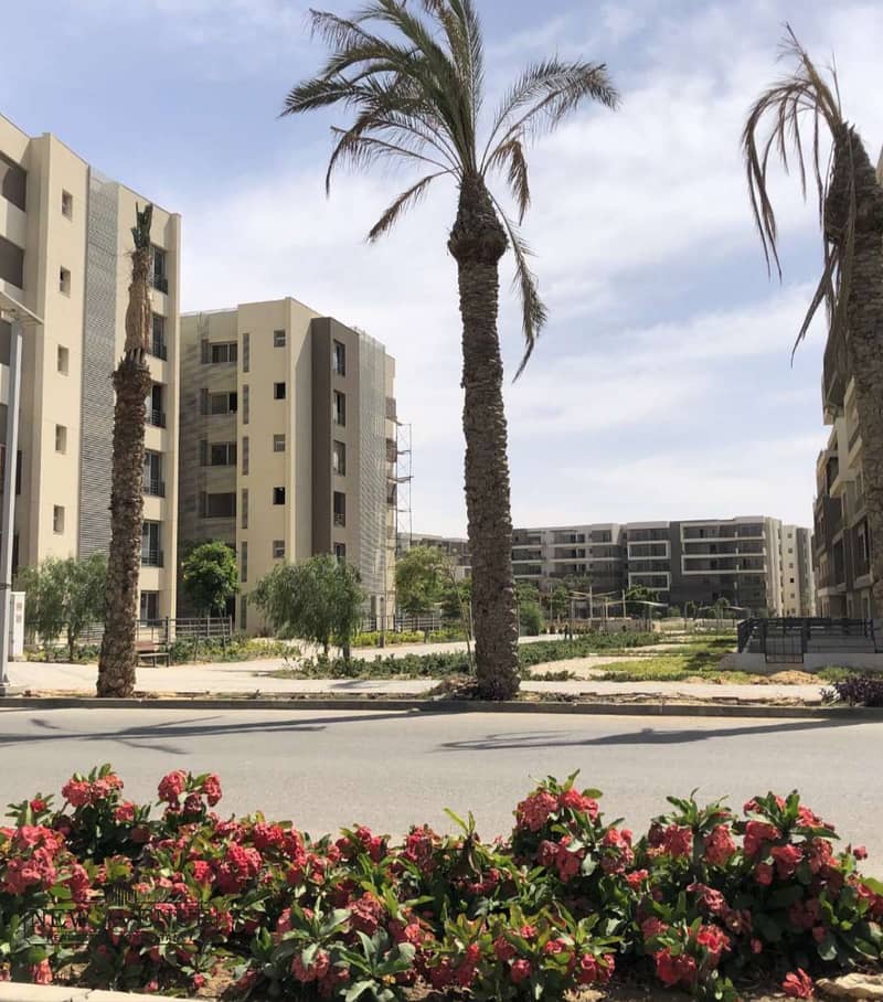 4 912043b7-c8dd-4d94-865d-b16341f78e34. jpg