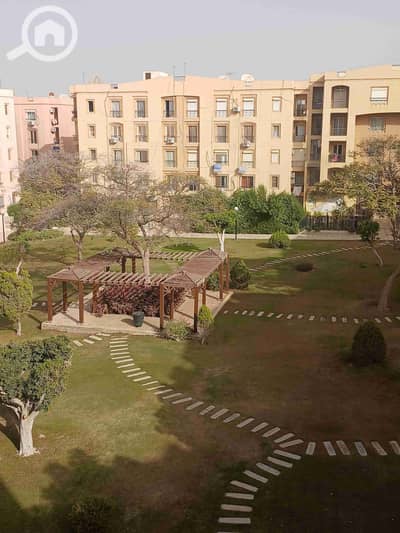 2 Bedroom Apartment for Rent in New Cairo, Cairo - 1000867426. jpg