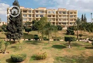 4 60cb78460ac8c462161046. png