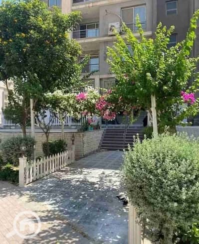 3 Bedroom Flat for Rent in New Cairo, Cairo - 1000032370. jpg