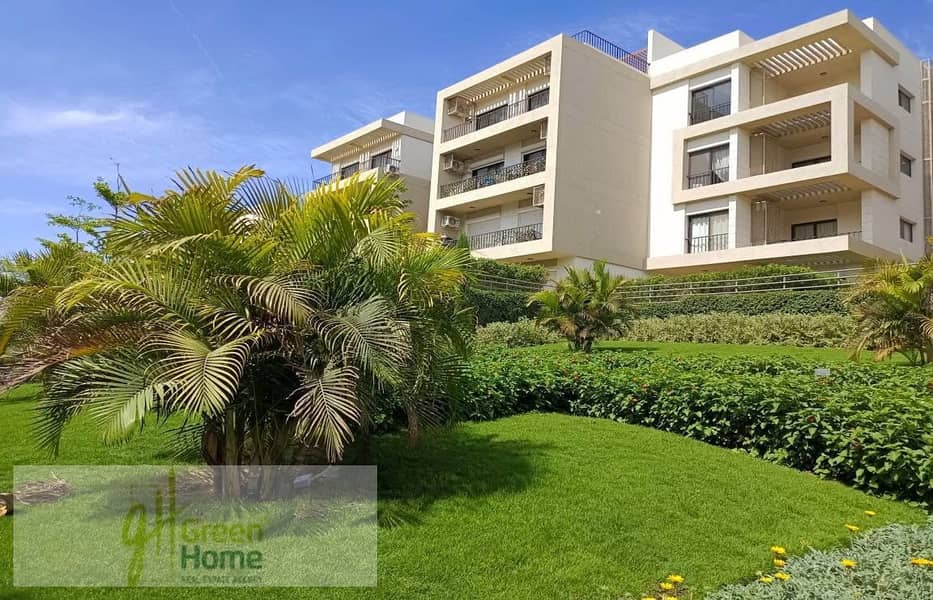 9 Moon Res_1400x900. jpg