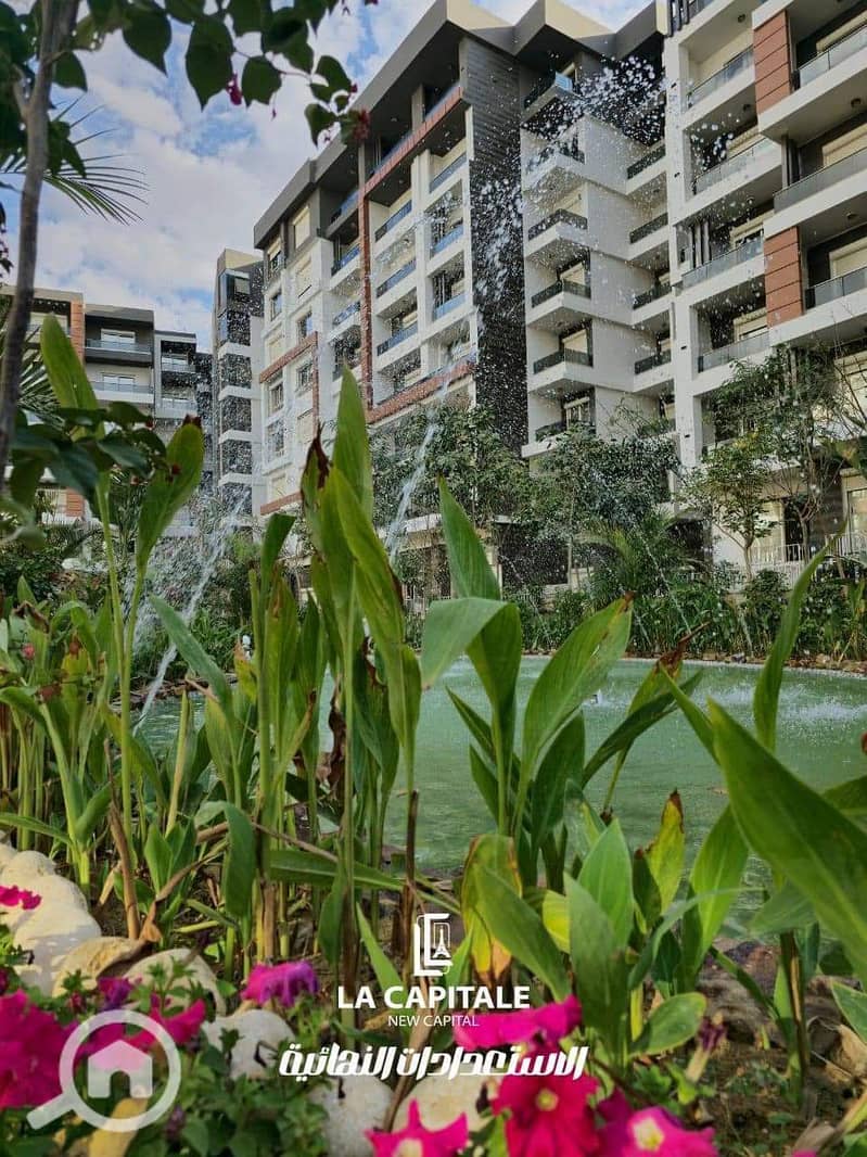 7 60a8e4ad-79c7-4ecf-aab2-cb8ed9459fb4. jpg