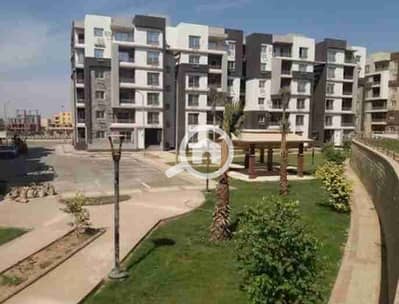 فلیٹ 3 غرف نوم للايجار في القاهرة الجديدة، القاهرة - 1000027320. jpg