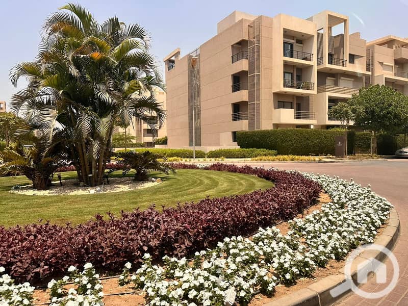 3 FB_IMG_1767437127285. jpg