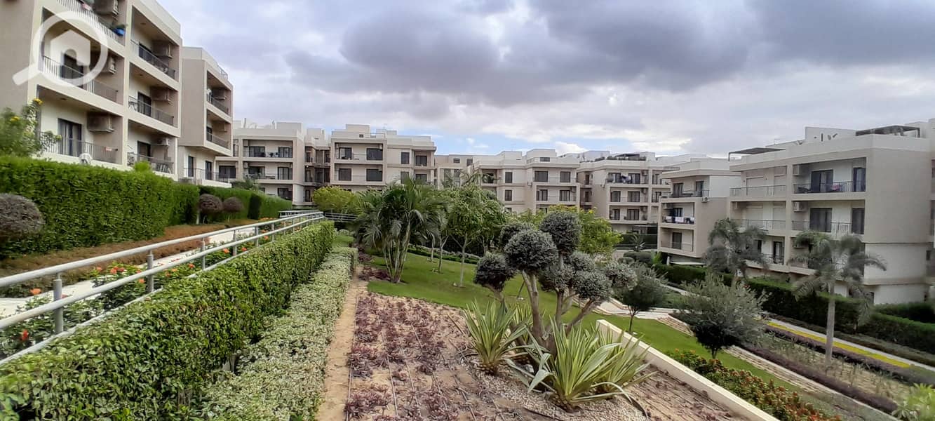 6 20251229_142952. jpg