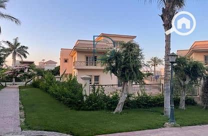 3 5032496-d1eeeo. jpg