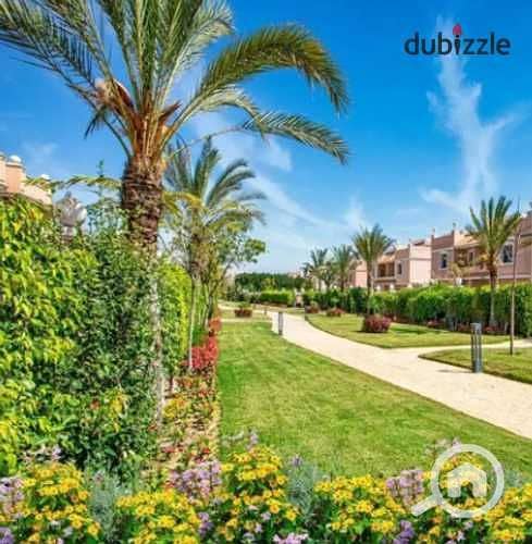 4 MpSfvUGIKIL7oXQ9lwWK3FTBODZZ1Jt0s4QeNhwl. jpg