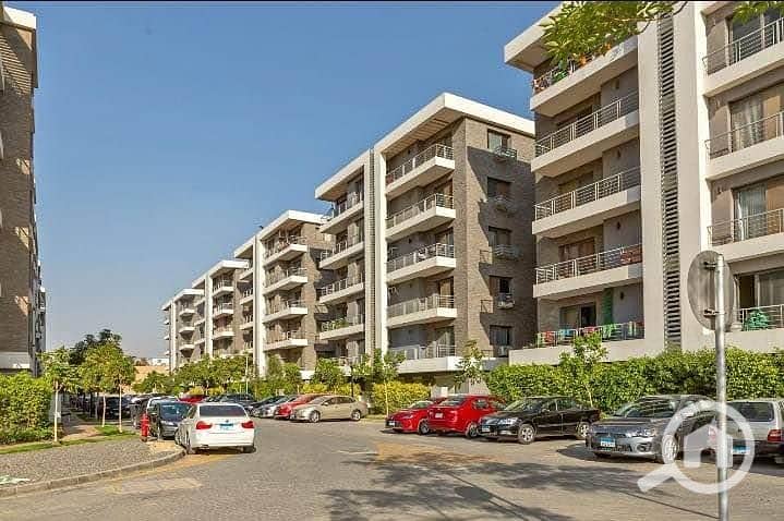 11 dc364b36-73e1-4709-bf78-877c516f3eec. jpg