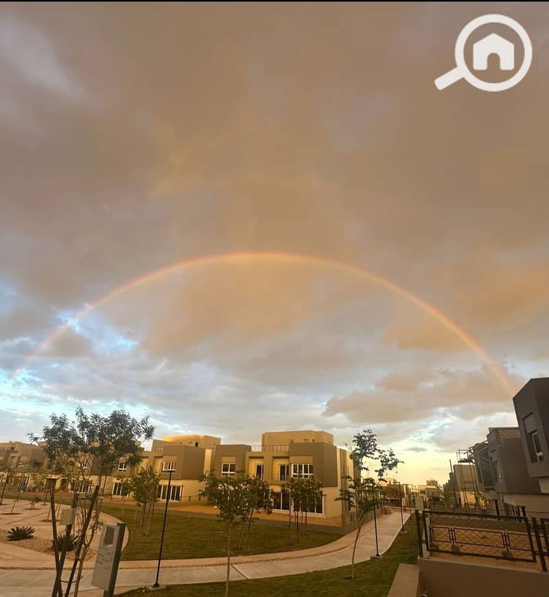 5 photo_4_2026-01-24_12-46-10. jpg