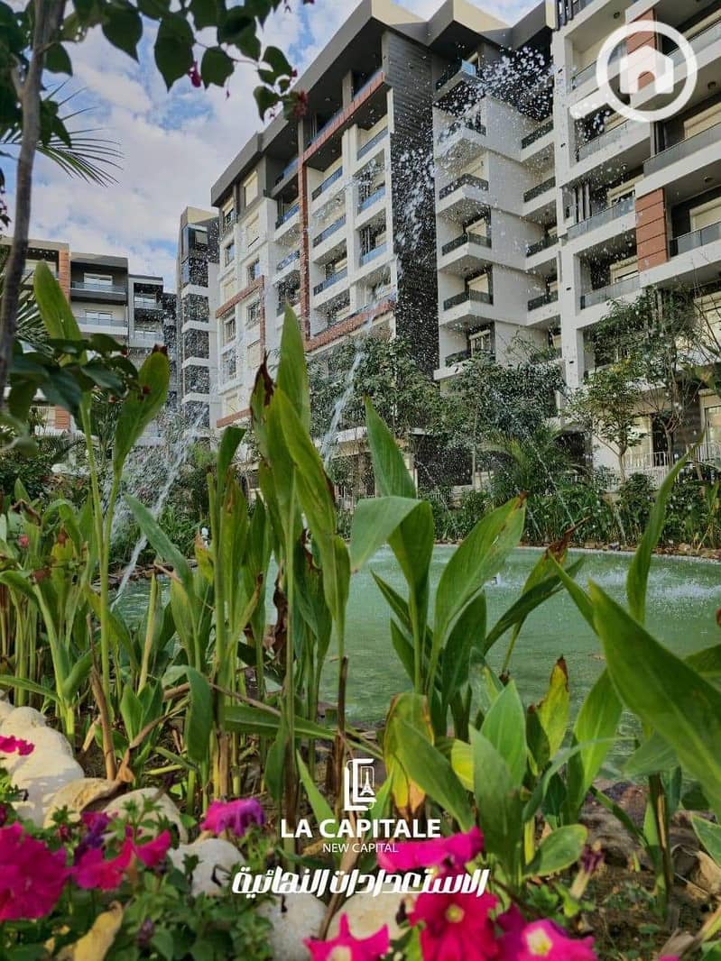 8 60a8e4ad-79c7-4ecf-aab2-cb8ed9459fb4. jpg