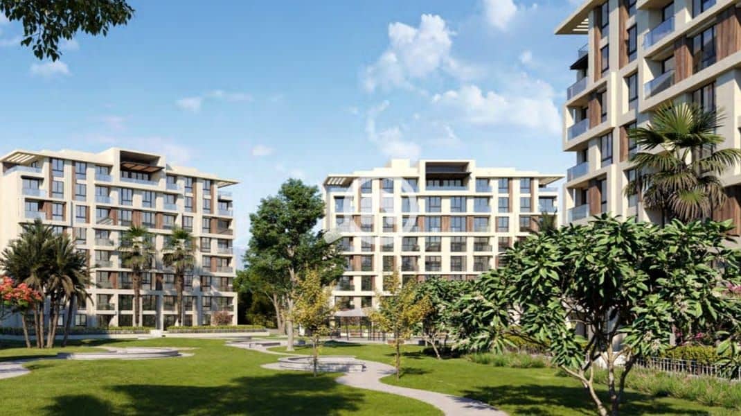 4 WhatsApp Image 2025-09-16 at 12.05. 04 PM. jpeg