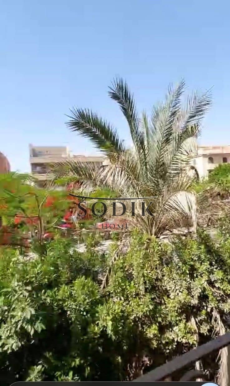 5 IMG-20250528-WA0020. jpg