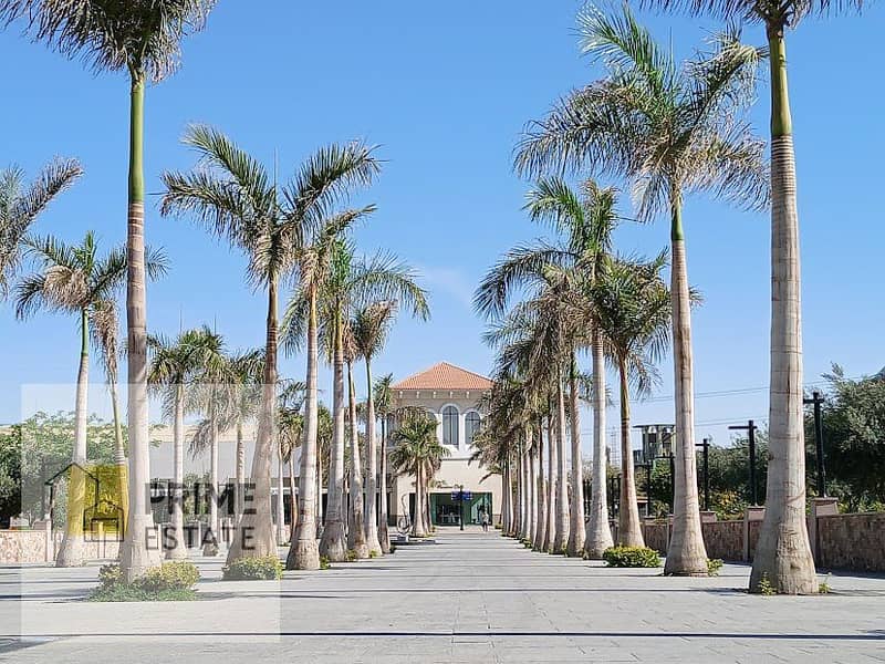 2 WhatsApp Image 2026-01-24 at 2.38. 36 AM (4). jpeg