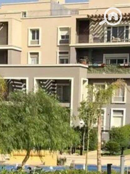 4 8428401-59d6do. jpg