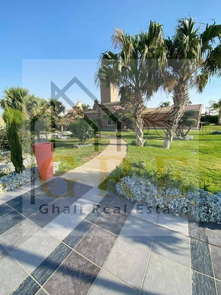 2 472970199_122163215636285987_733222691459569023_n. jpg