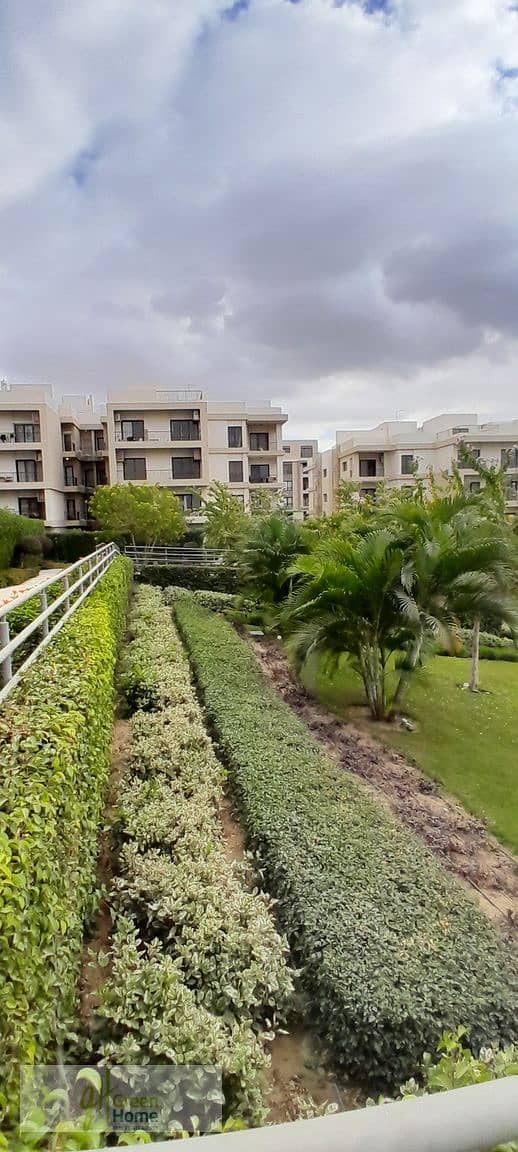 20251229_143141. jpg 20251229_143141. jpg