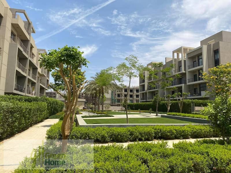 11 615455753_915538964764161_4528554120978240111_n. jpg