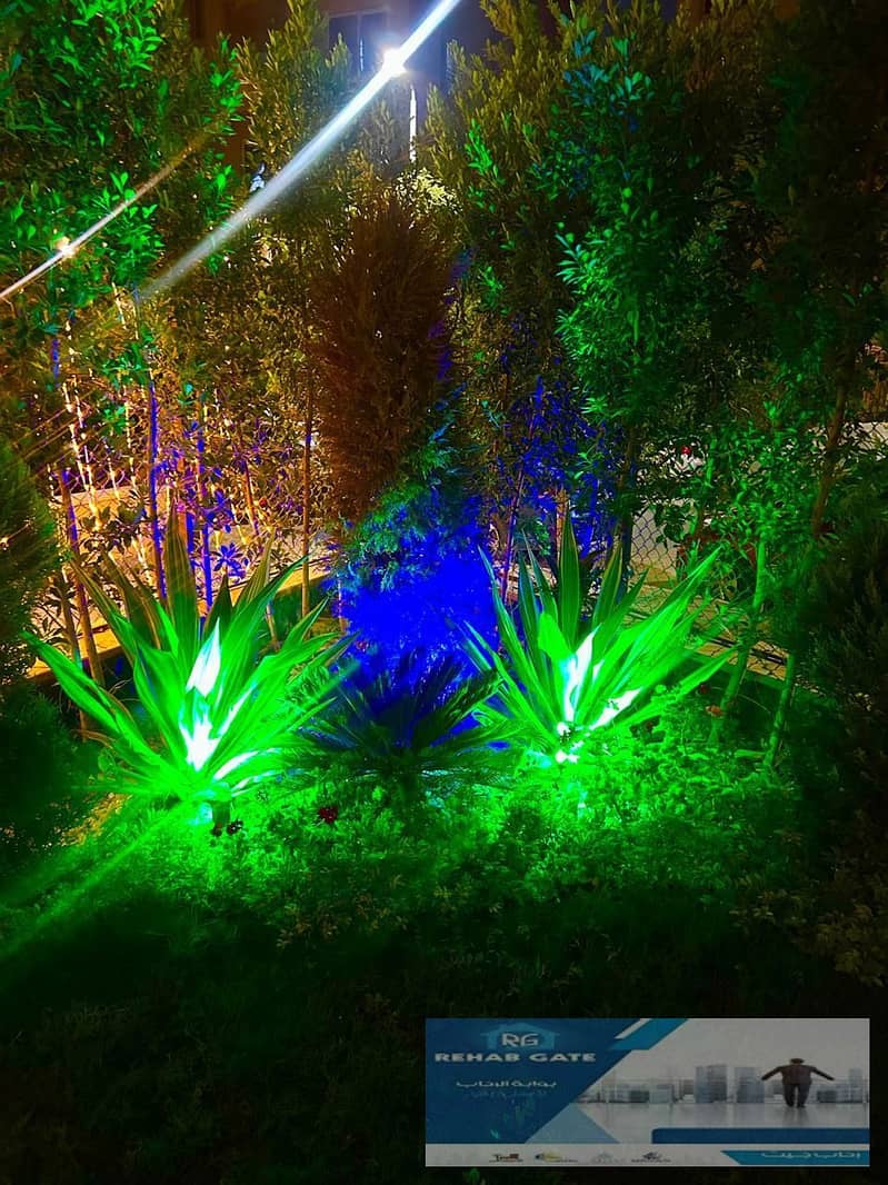 11 bde7cd8f-0e37-4dab-8232-5b9a07225226. jpg