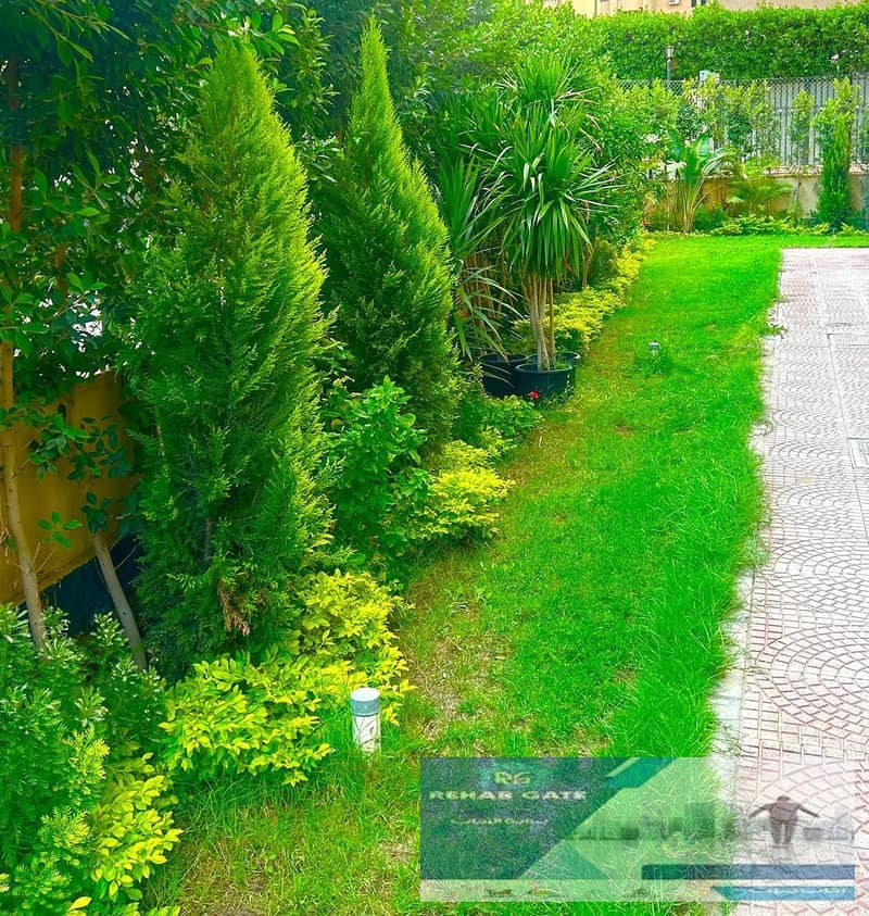 16 a911be54-1a79-4007-ae0f-d509e2c752af. jpg