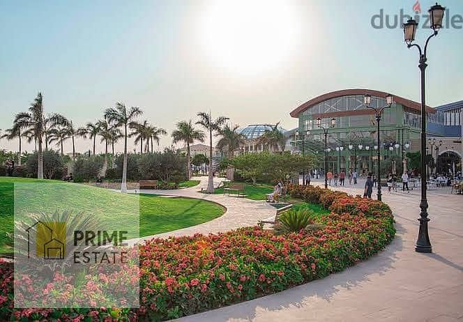 2 عياده 8. jpeg