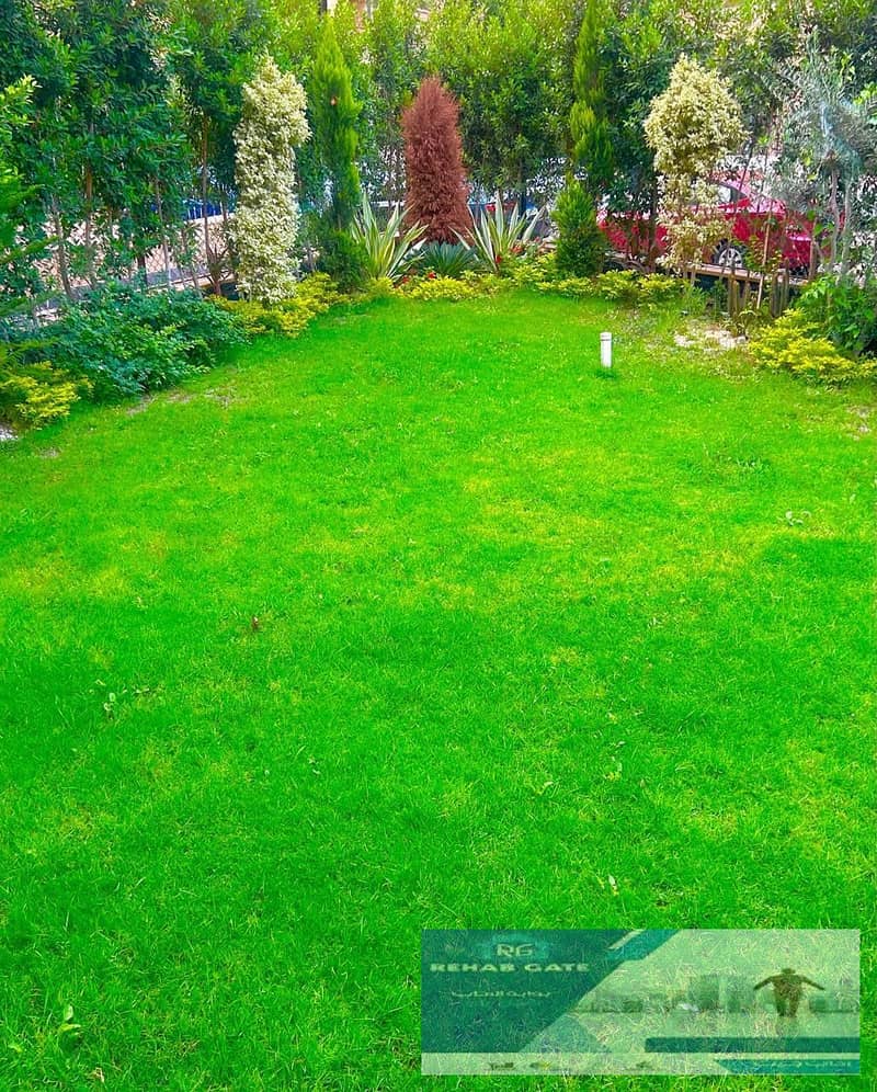 2 1ba33bfe-fc82-474f-91bc-ddcb7f9b27ac. jpg